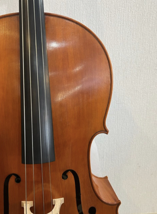  contrabass [ musical instruments shop exhibition ] Italy new work Marco Pedrini 4/4 2023 year made { made certificate attaching } reference price approximately 400 ten thousand jpy auction limitation!!