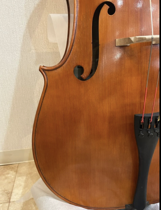  contrabass [ musical instruments shop exhibition ] Italy new work Marco Pedrini 4/4 2023 year made { made certificate attaching } reference price approximately 400 ten thousand jpy auction limitation!!