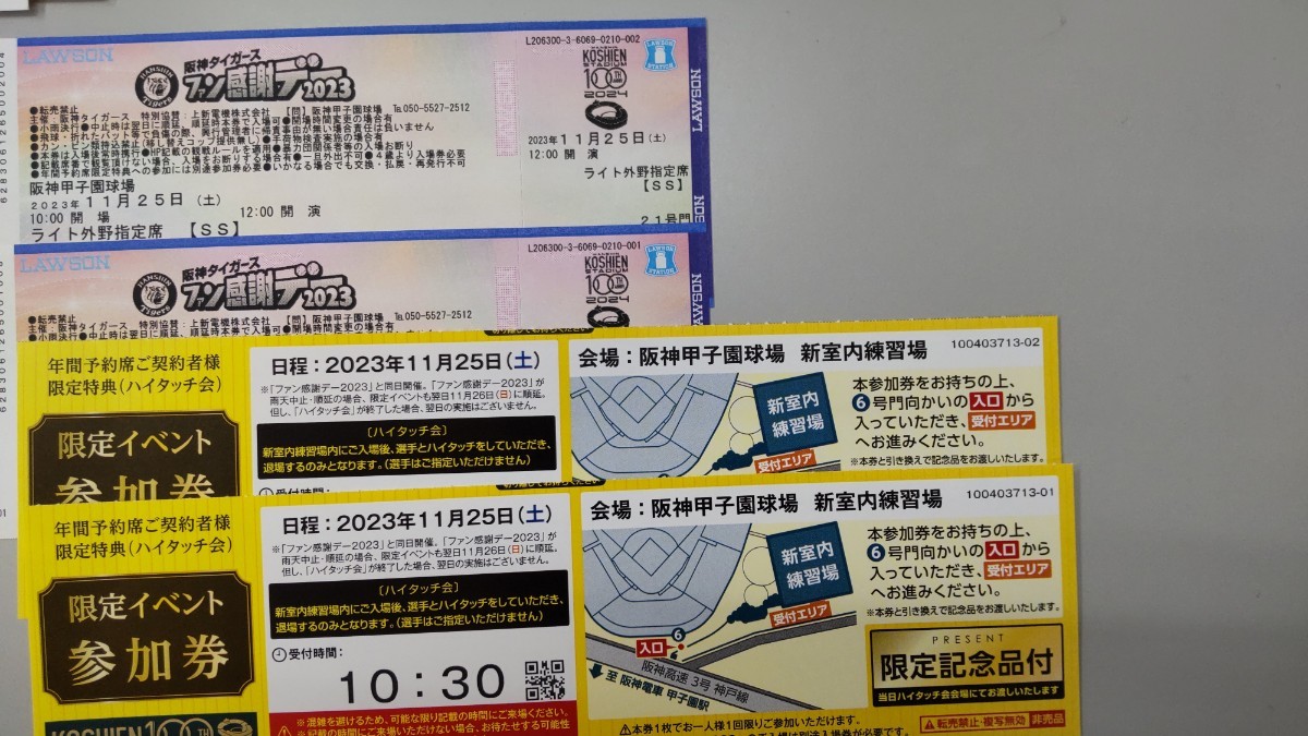 阪神タイガース ファン感謝デー2023 ハイタッチ券付き ライトペア_画像1
