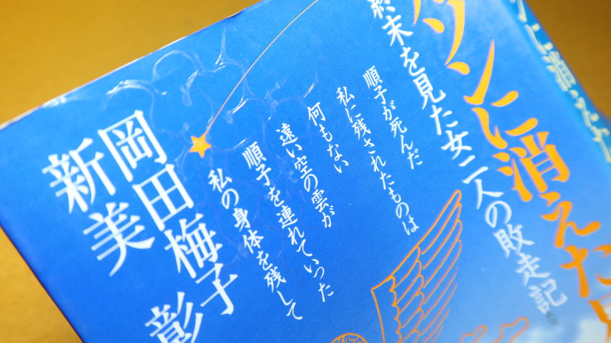 岡田梅子/新美彰『ルソンに消えた星　終末を見た女二人の敗走記』毎日新聞社、1980【「一億人の昭和史」ノンフィクション・シリーズ3】_画像3