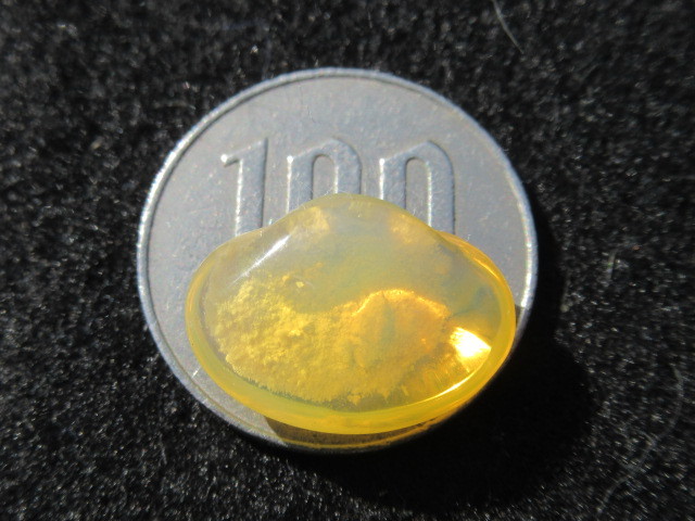 貝化石オパール黄色透明_画像6