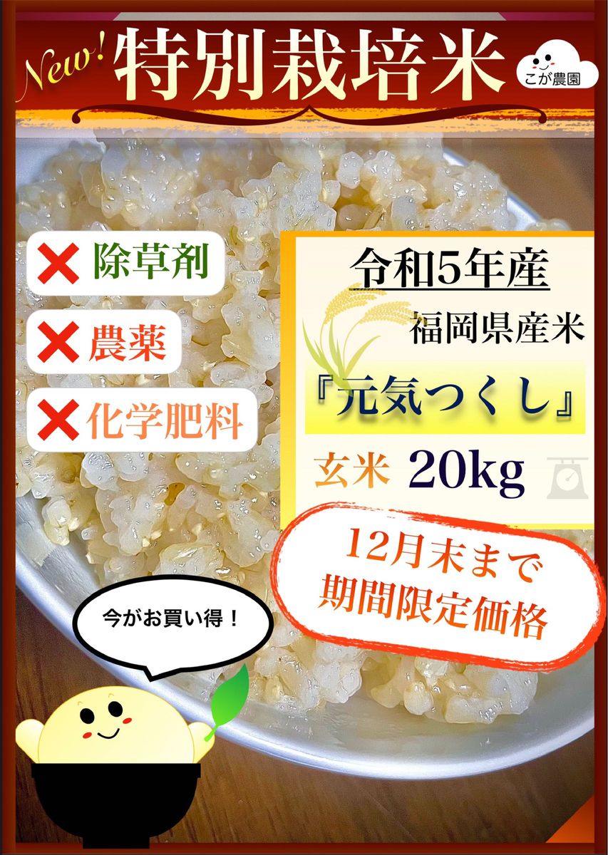 準自然米　福岡県産「元気つくし」令和5年産　玄米20kg 発芽玄米におすすめ Yahoo!フリマ（旧）