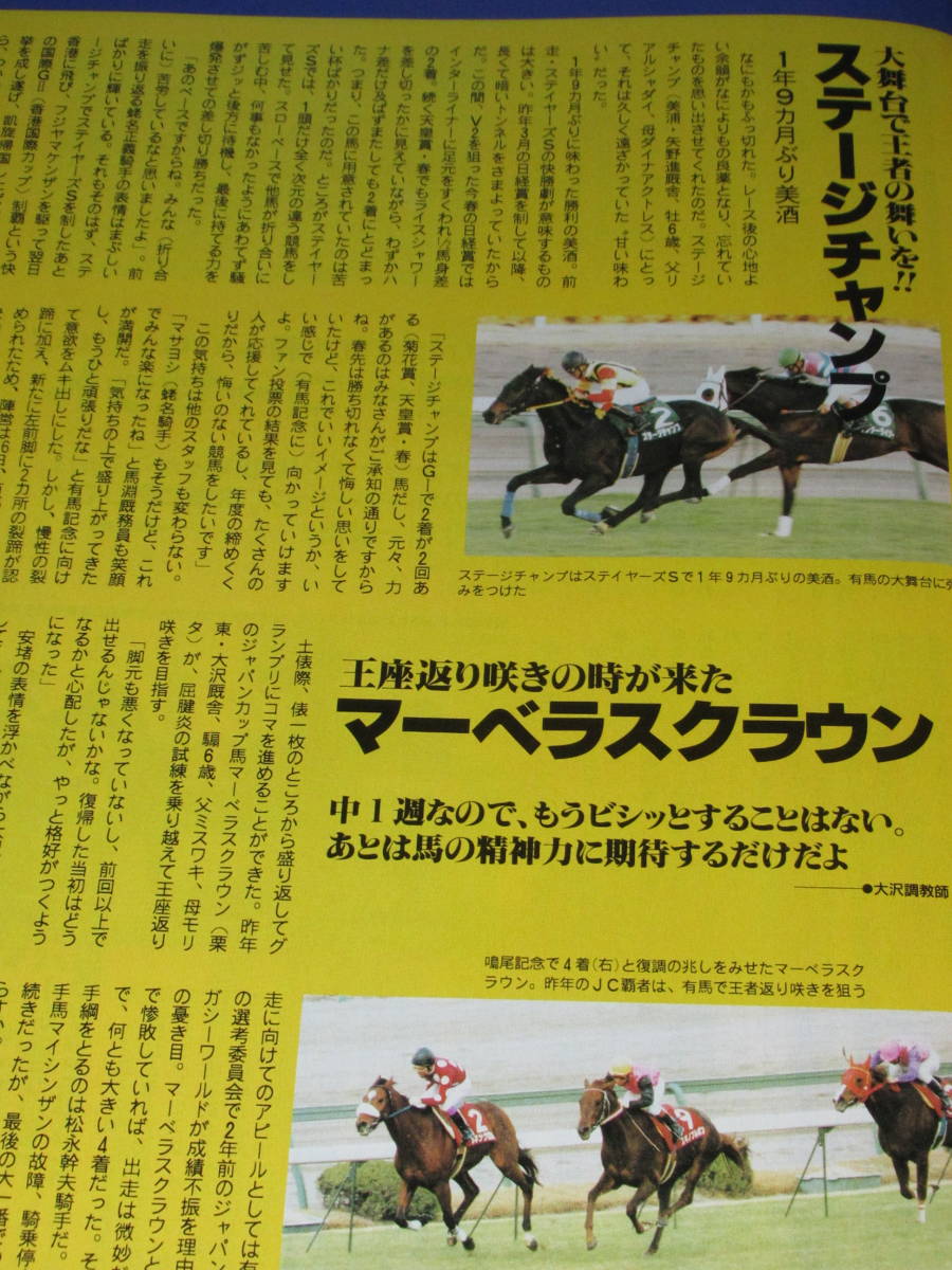 匿名送料無料 ★週刊Gallop 1995 有馬記念 ☆☆即決！マヤノトップガン ヒシアマゾン タイキブリザード サクラチトセオー ナイスネイチャの画像10