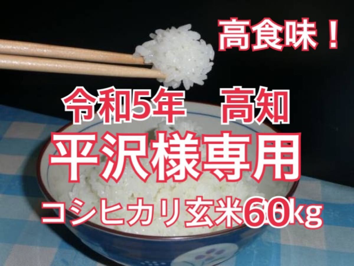 高食味 令和5年新米 我が家減農薬栽培 高知コシヒカリ 玄米25キロ