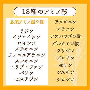 エビオス錠 750粒 EBIOS 胃腸 栄養補給薬 消化不良 食欲不振 ビタミンB1 B2 B6 たんぱく質 ミネラル グルカン マンナン 食物繊維 核酸_画像7