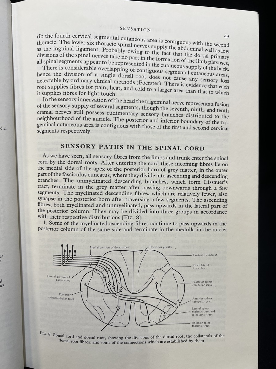 Brain's Diseases of the Nervous System Eighth edition John N.Walton 医学書 洋書』 - 洋書 Brain's Diseases of the Nervous System Eighth edition John N.Walton 医学書 洋書』 - 洋書
