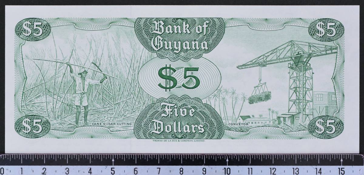 外国紙幣 ガイアナ 1992年 未使用 5ドル_画像2
