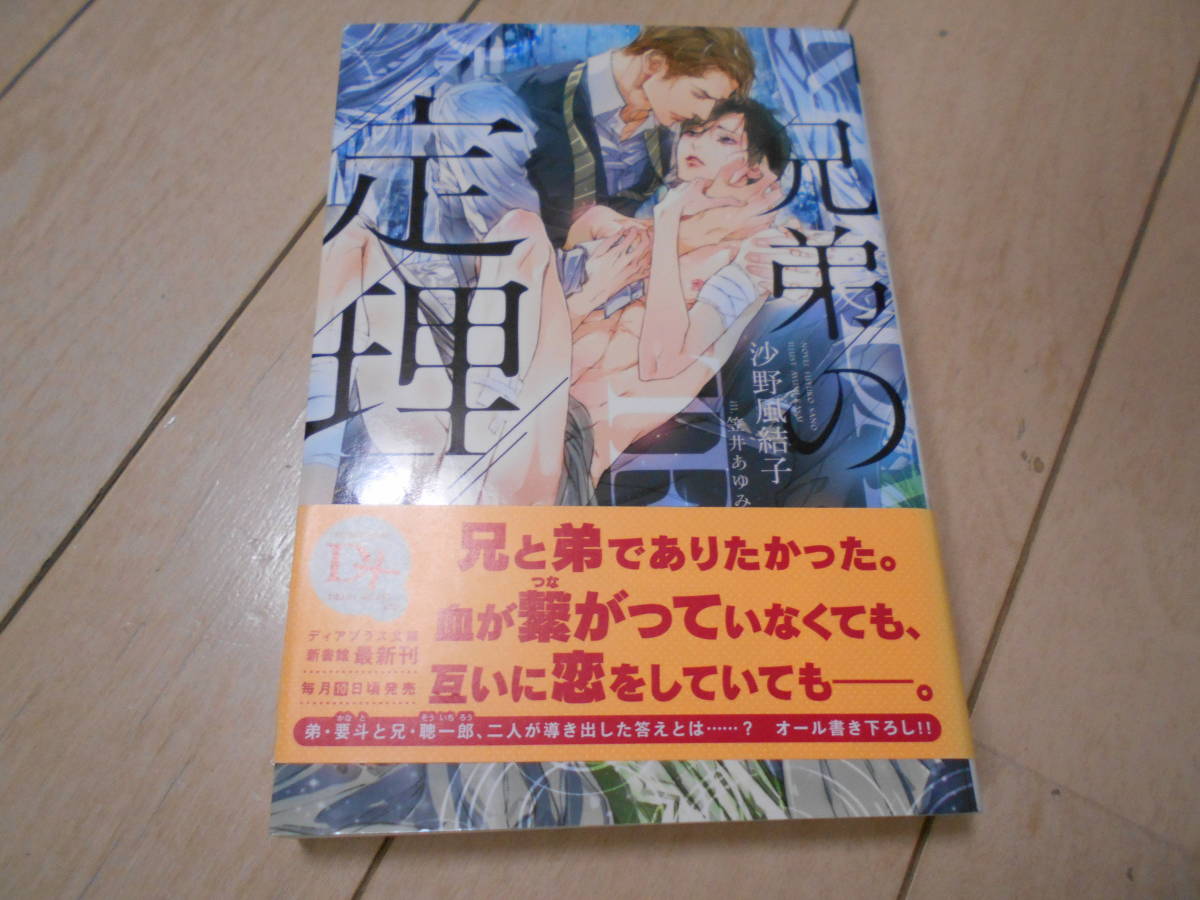 兄弟の定理　沙野風結子　笠井あゆみ_画像1