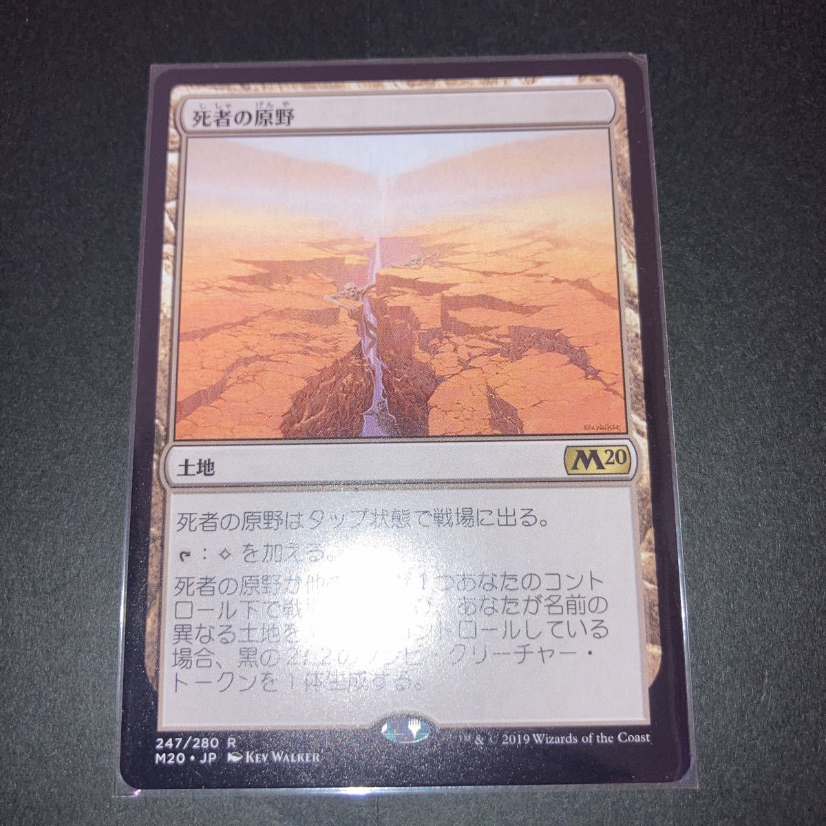 死者の原野　ギャザリング mtg 2020_画像1