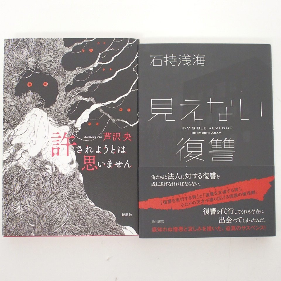 f002l F3 386. ミステリー小説 芹沢央/石持浅海/二階堂黎人/葉真中顕 他 11冊セット ハードカバー 帯付き_画像5