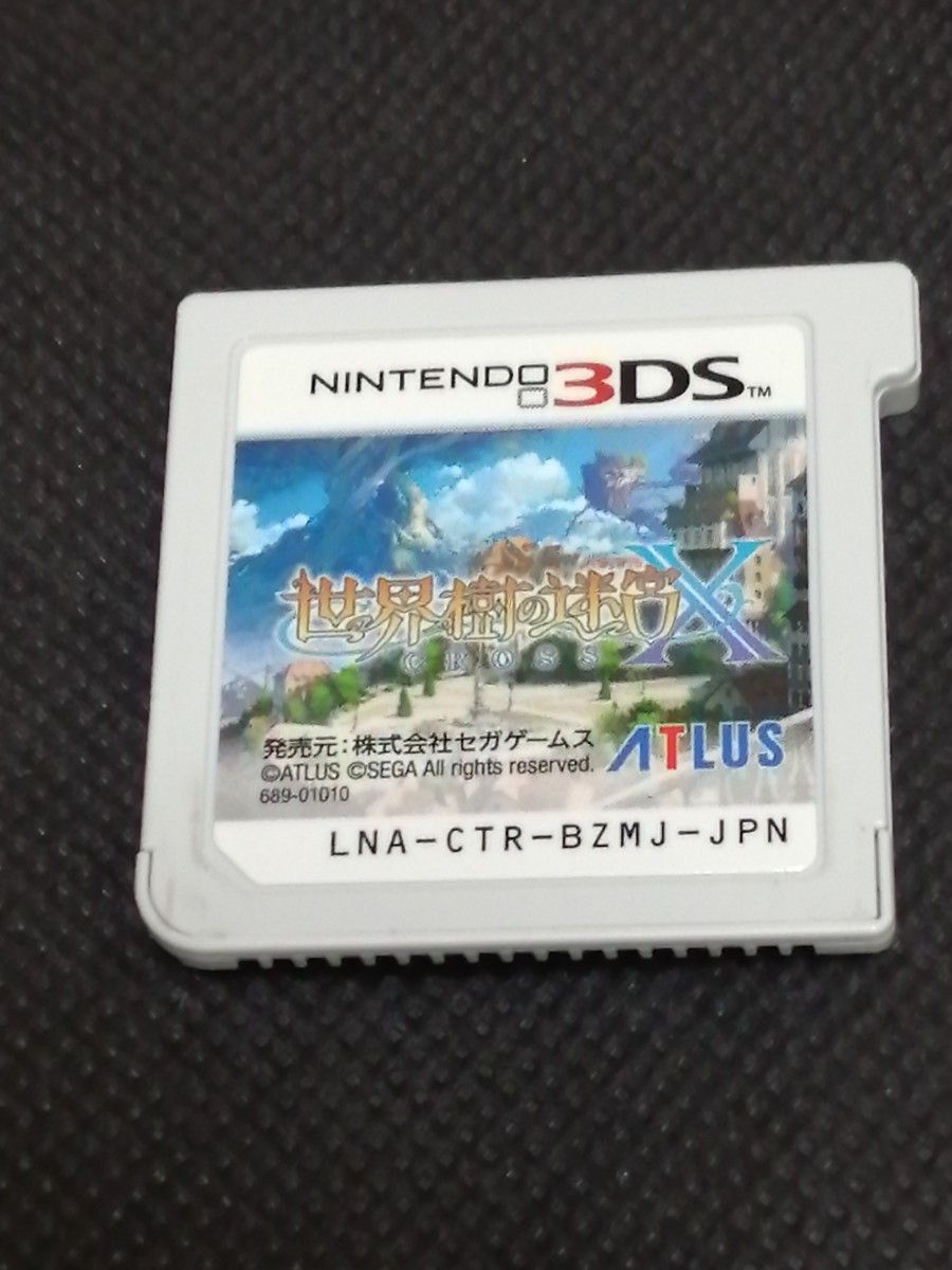 3DS 世界樹の迷宮X