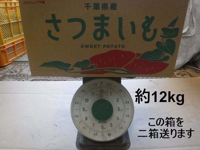 紅あずま 20kg（10kg二箱 千葉県産農家直送 規格外品 (正味22kg以上入れます）No1_画像3