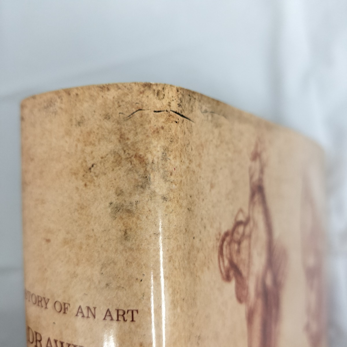 希少】帯付き「Drawing: History of an Art」Genevieve Monnier 英語版 サイン入り 洋書 図録 美術本 芸術 デッサン 解説本 34×26×4 画集・作品集 希少】帯付き「Drawing: History of an Art」Genevieve Monnier 英語版 サイン入り 洋書 図録 美術本 芸術 デッサン 解説本 34×26×4 画集・作品集