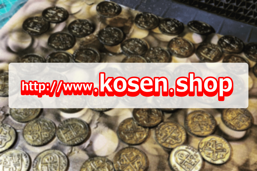  domain name ~kosen.shop~