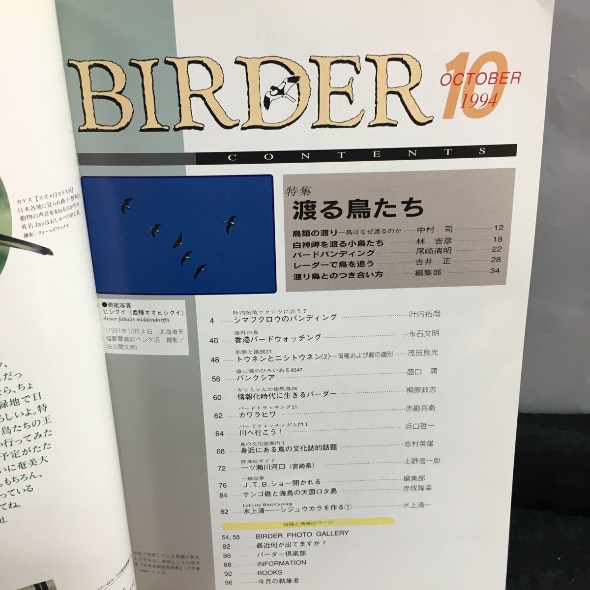 i-538 バーダー 10月号 特集 渡る鳥たち 香港バードウォッチング トウネン② シマフウロウのバンディング 平成 6年10月1日発行※8_画像2