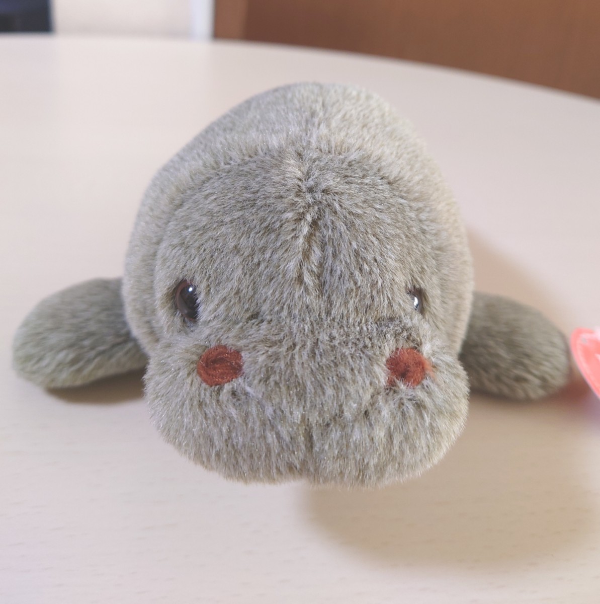 This is so cute 海の生き物ふわふわぬいぐるみ マナティ 新品タグ付き _画像2