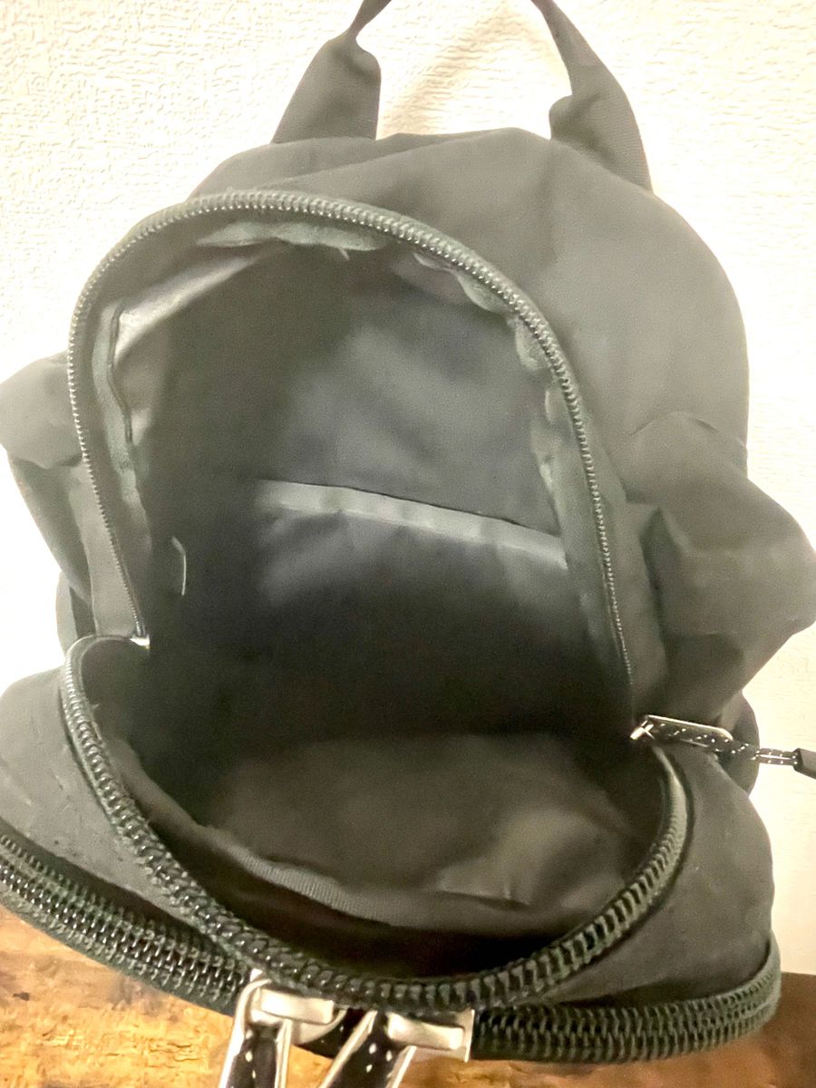 THE NORTH FACE ザノースフェイス WASATCH バックパック THE NORTH FACE ザノースフェイス WASATCH バックパック