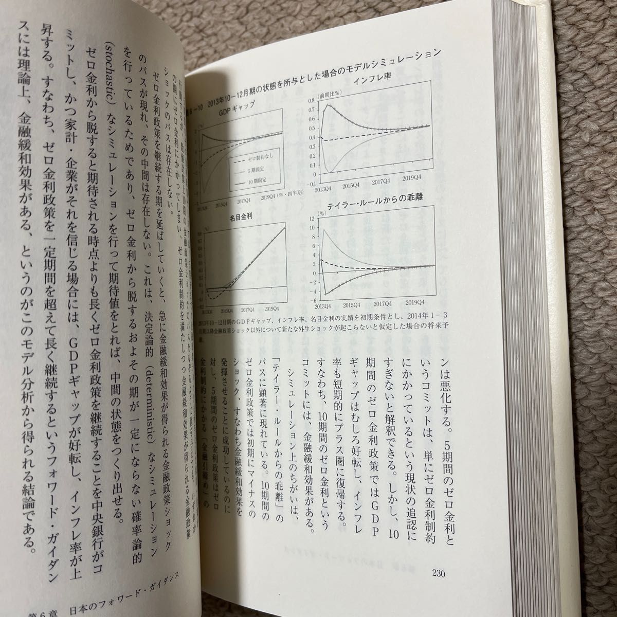 量的・質的金融緩和 政策の効果とリスクを検証する　経済学　経済　日本経済　ビジネス書　ビジネス　本　基礎