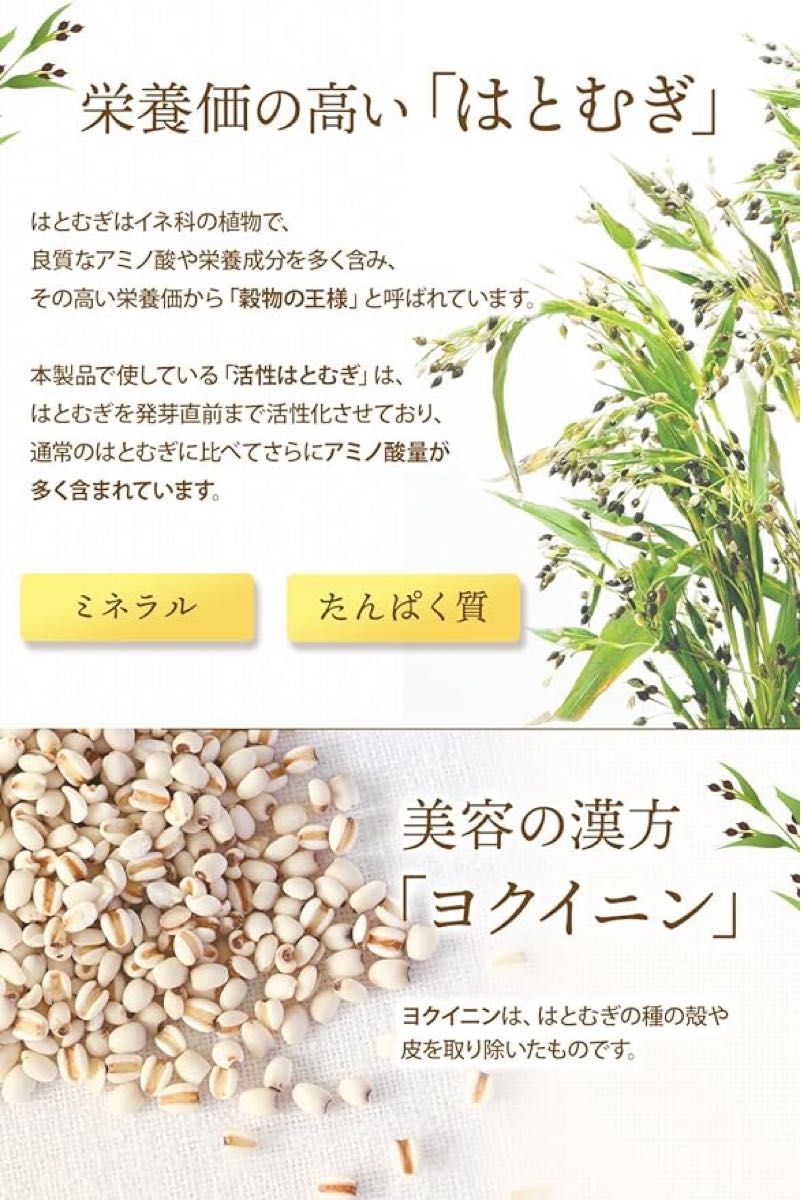 彩輪商店 活性はとむぎ茶 国産100％ ハトムギ茶 はとむぎ ティーバッグ 無添加 残留農薬検査済み ノンカフェイン 30包