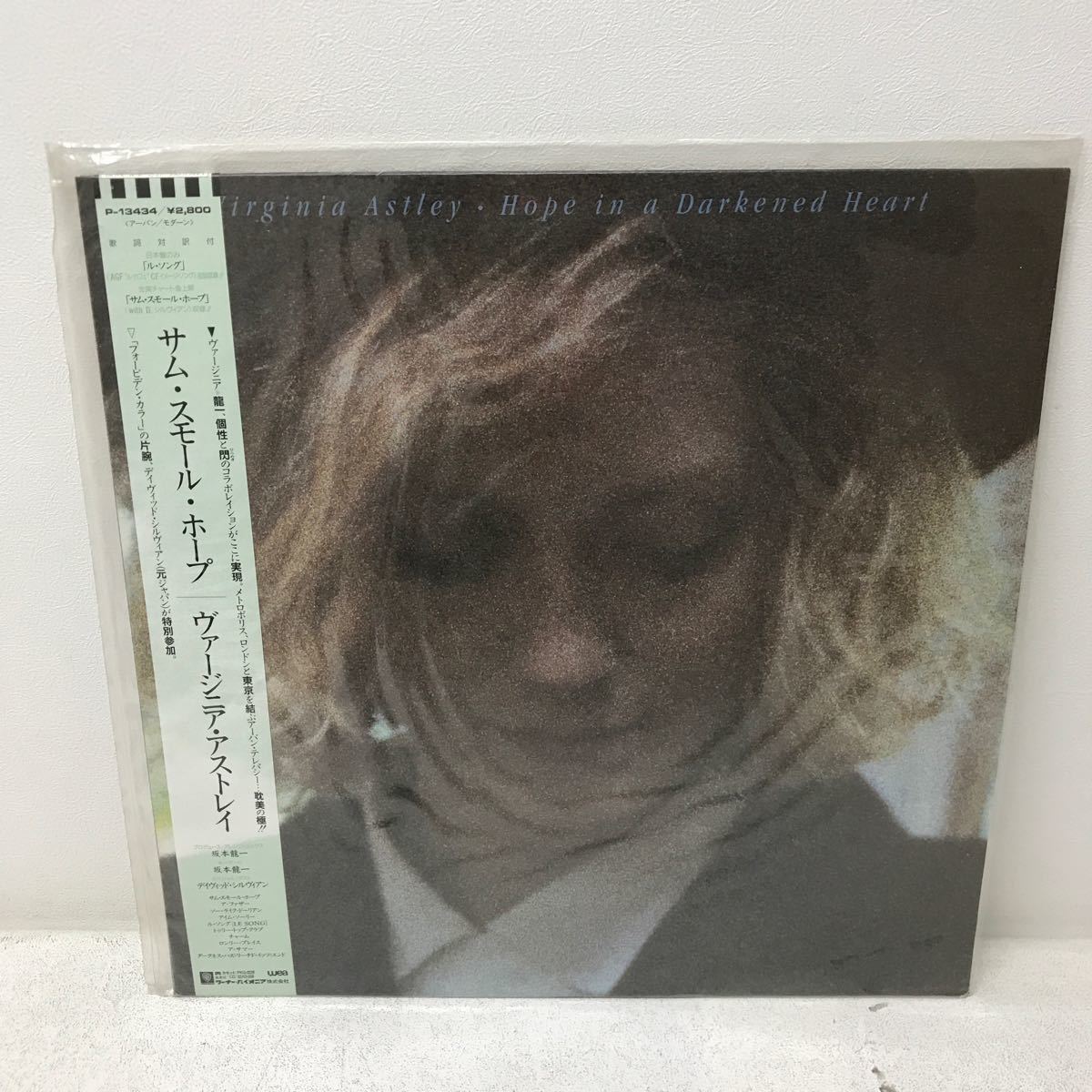 I1130G3 サム・スモール・ホープ ヴァージニア・アストレイ Virginia Astley Hope in a Darkened Heart LP レコード 音楽 洋楽 国内盤_画像1