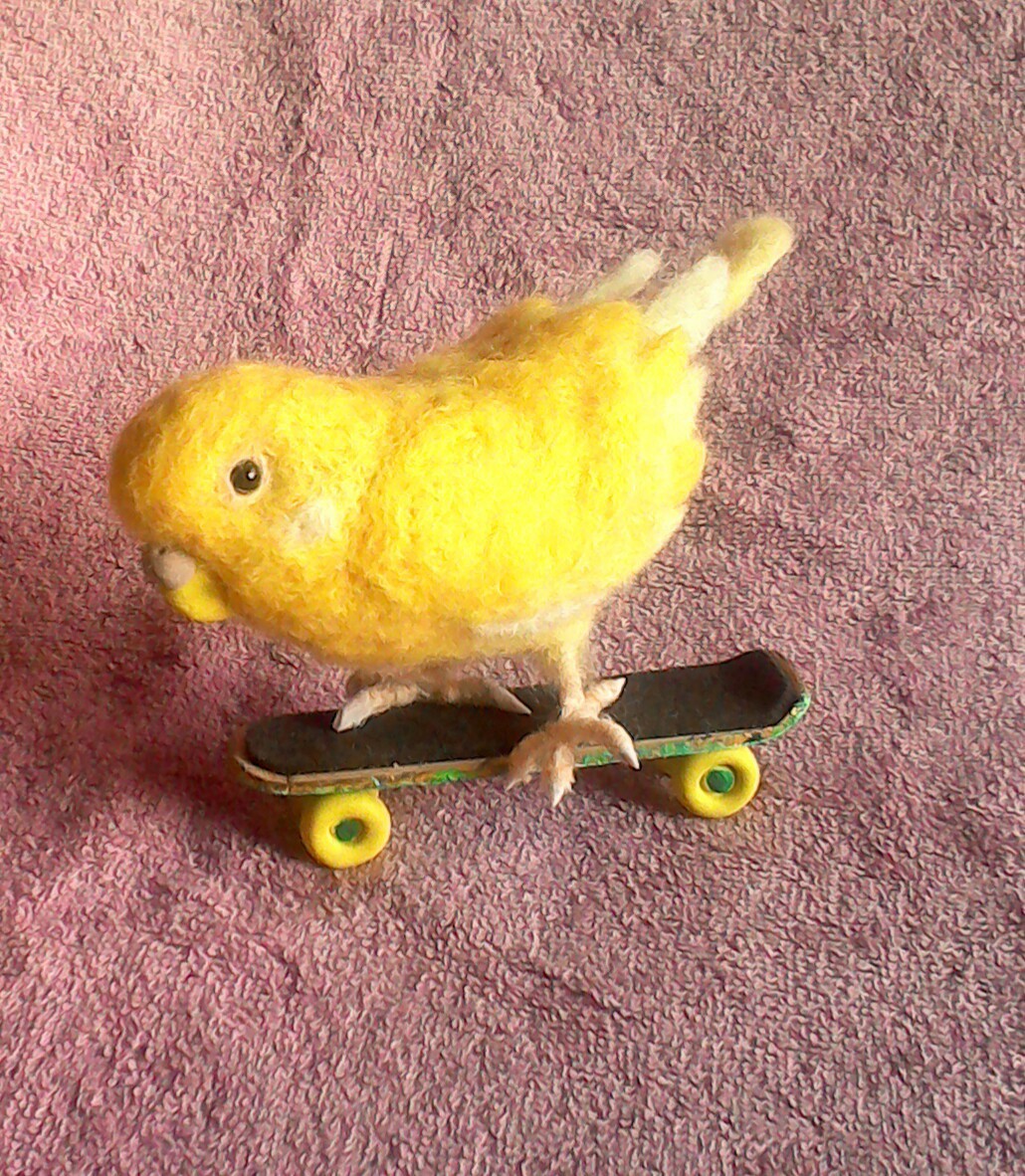  шерстяной войлок * скейтборд . ездить желтый длиннохвостый попугай Chan 