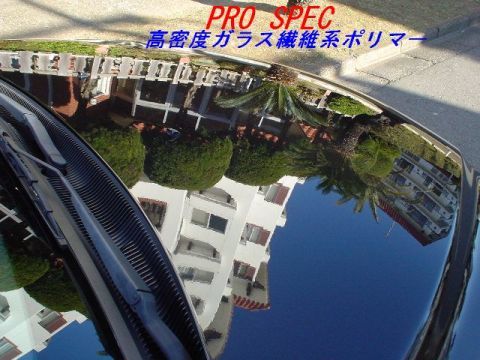 #プロスペックⅡ親水性PROSPECⅡ ガラス繊維系+電着ガラス被膜Ｗコート 業者向 1,000ml_洗車後塗伸ばし拭き取るだけで電着光沢被膜