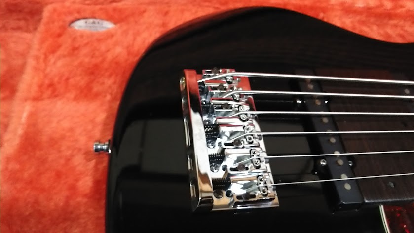 Fender USA SRB Jazz Bass 6 Steve Bailey Signature Model フェンダー６弦　スティーブ・ベイリー　モデル_画像8