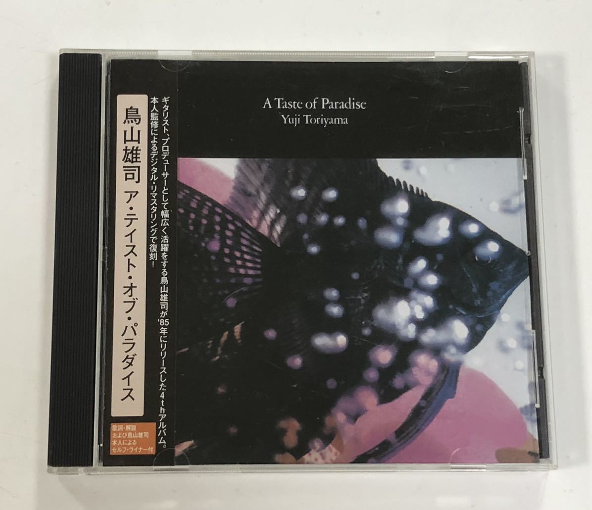 CD 鳥山雄司 ア・テイスト・オブ・パラダイス A Taste of Paradise PCCY-01570_画像1