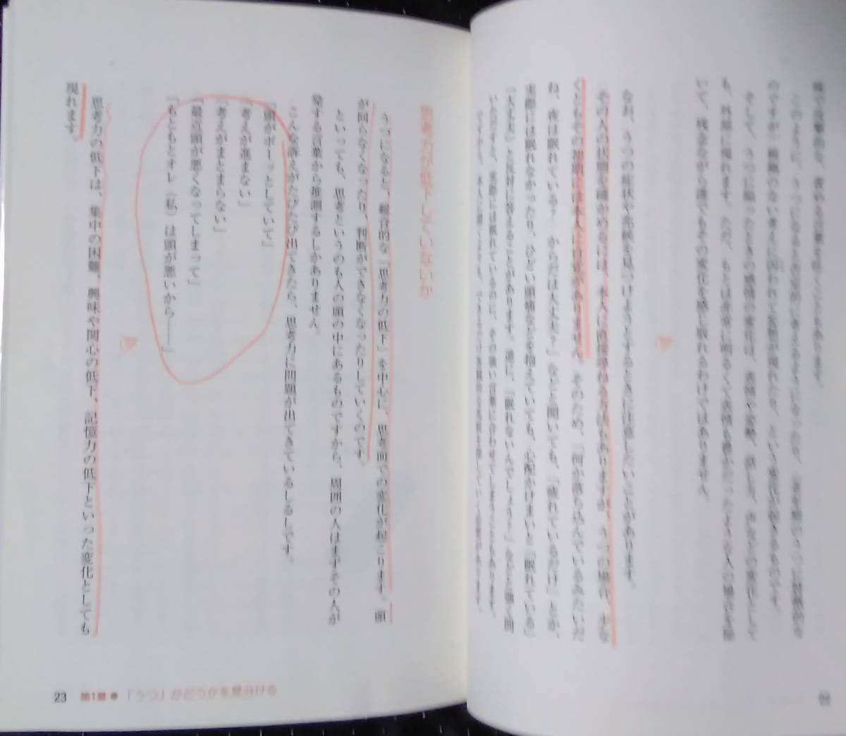 「うつ　家族ができること」関谷透　下山晴彦　池田書店_画像7