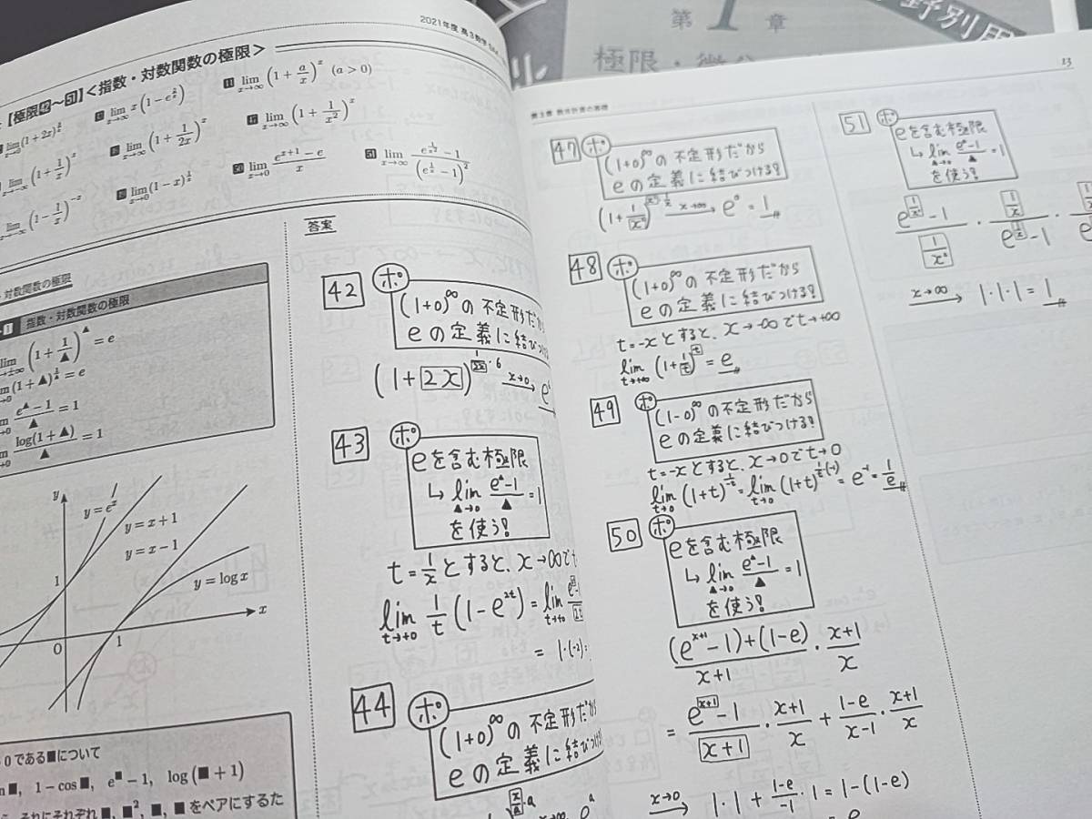 鉄緑会 小橋先生 21年 夏期 高３理系数学・分野別 数Ⅲ テキスト・解説