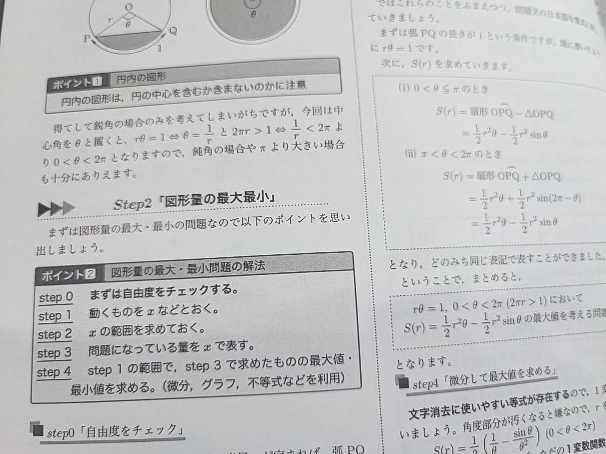 鉄緑会 小橋先生 21年 夏期 高３理系数学・分野別 数Ⅲ テキスト・解説