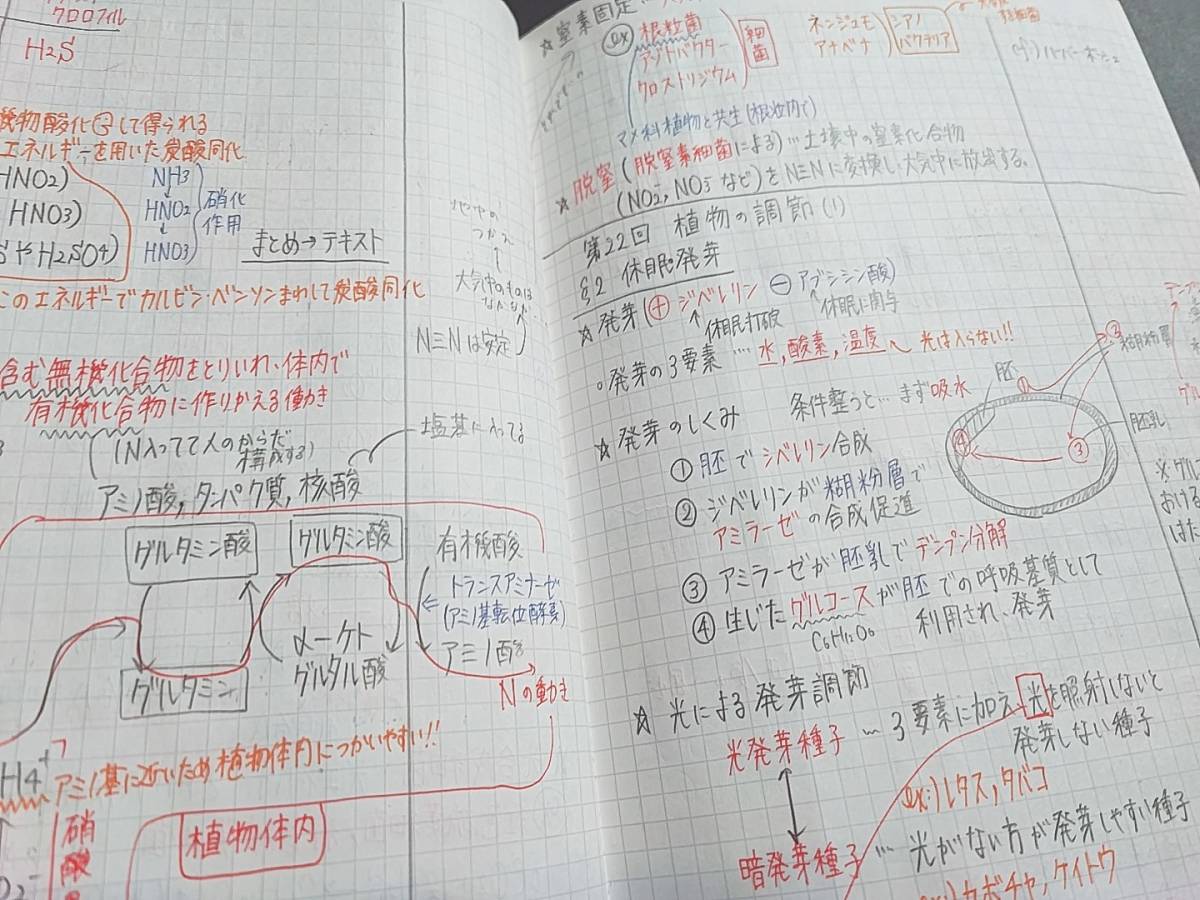 鉄緑会 21年度前期 高2生物基礎講座 板書ノート 上位クラス 鉄緑会 21年度前期 高2生物基礎講座 板書ノート 上位クラス