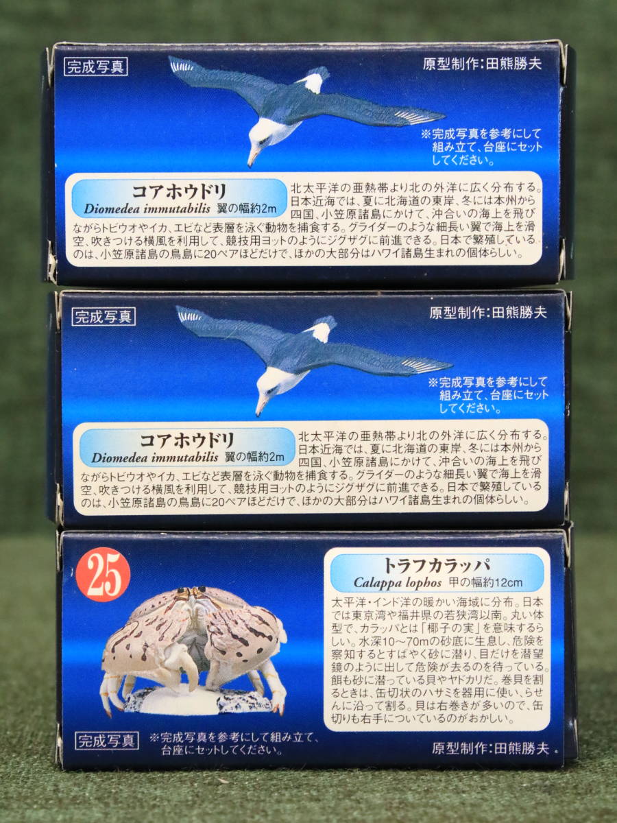 あ//A6109 【未使用・保管品】グリコおまけ　KAIYODO 海洋堂　グリコ　食玩　ボトルキャップ　AQUATALES アクアテイルズ　第２弾　23個_画像8