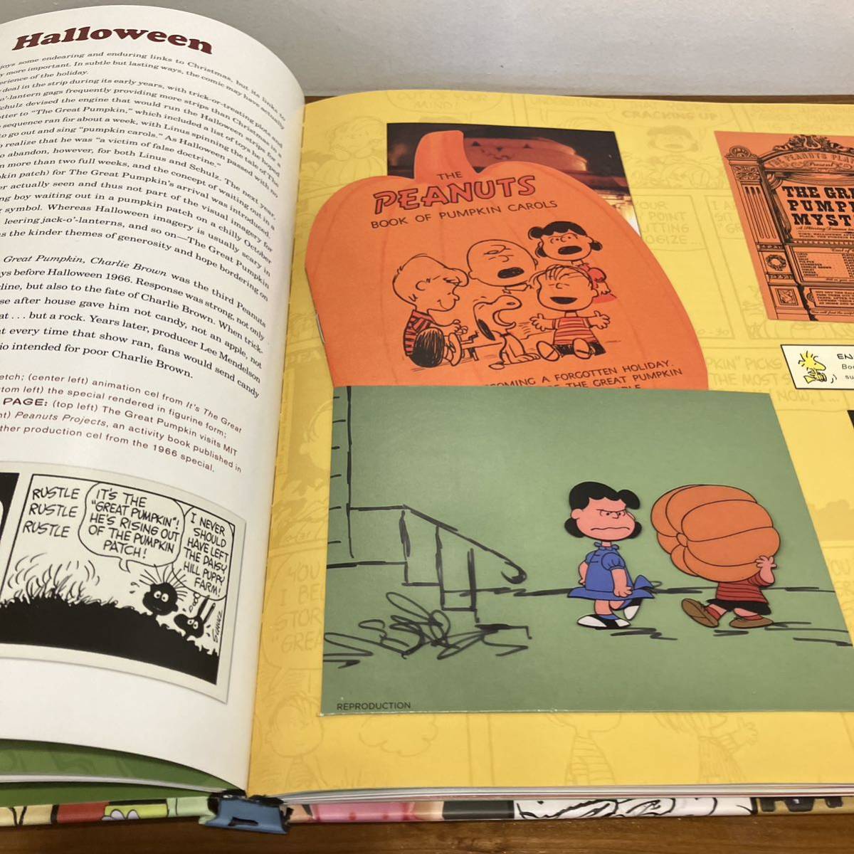231118【希少☆スヌーピーコレクターさん向け】the PEANUTS collection☆TREASURES FROM THE WORLD'S MOST BELOVED COMIC STRIP 洋書大型本 - 洋書、外国語絵本 231118【希少☆スヌーピーコレクターさん向け】the PEANUTS collection☆TREASURES FROM THE WORLD'S MOST BELOVED COMIC STRIP 洋書大型本 - 洋書、外国語絵本