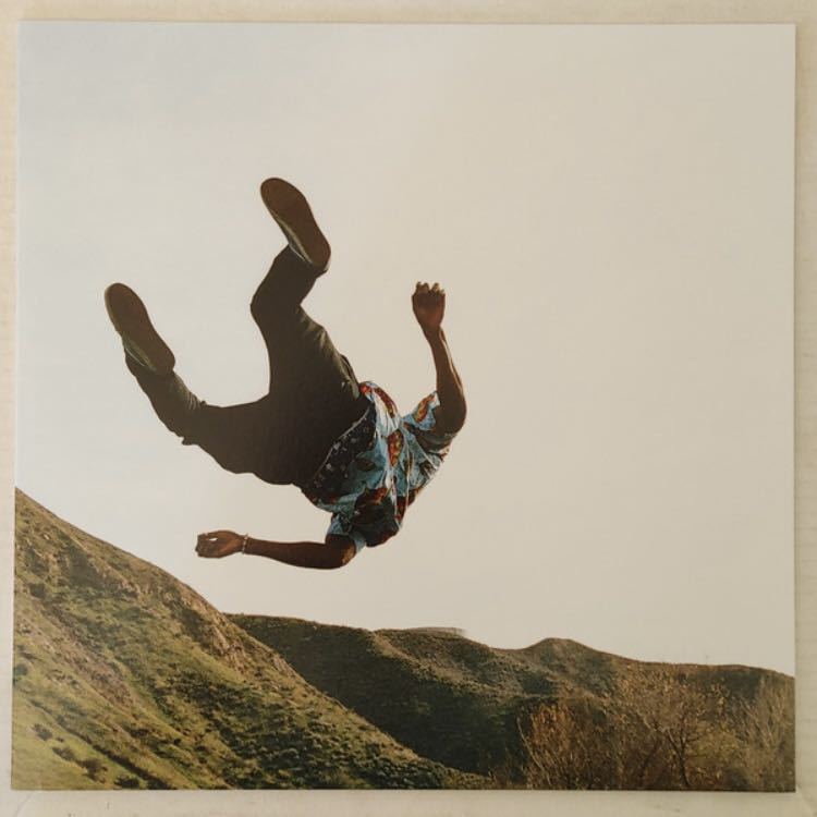 tyler the creator WOLF 10th anniversary 4LP レコードボックス punpee kid fresino frank ocean タイラーザクリエイター