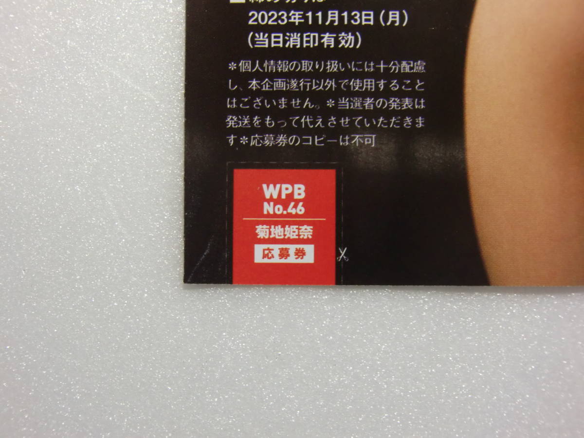 プレイボーイ.46号.No.46.菊地姫奈.菊池姫奈.直筆サイン.チェキ.直筆