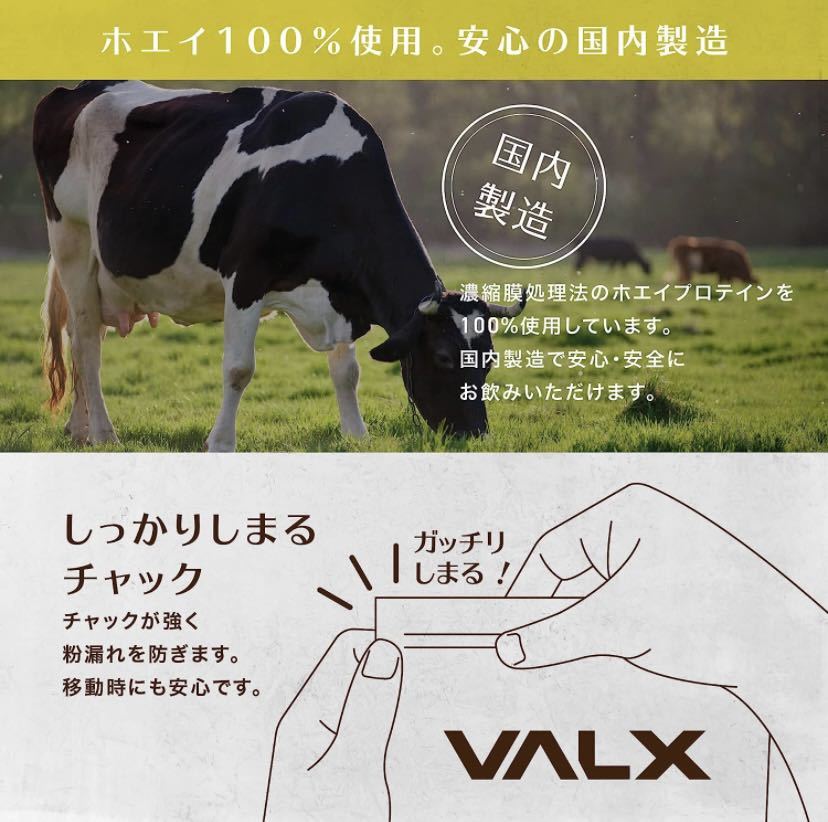 VALX バルクス ホエイ プロテイン パイナップル風味_画像7