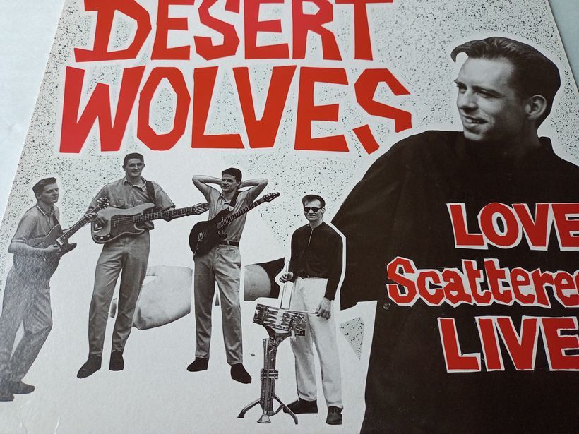 The Desert Wolves - Love Scattered Lives - 12インチ - ネオアコ名盤、ギターポップ、Near Mint _画像3