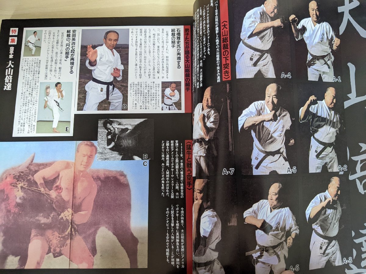 月刊 フルコンタクト KARATE/空手 別冊 2007.5 大山倍達神話/山崎照朝/安田英治/ケンカ空手/極真空手/格闘技/武道/武術/雑誌/B3219959_画像3