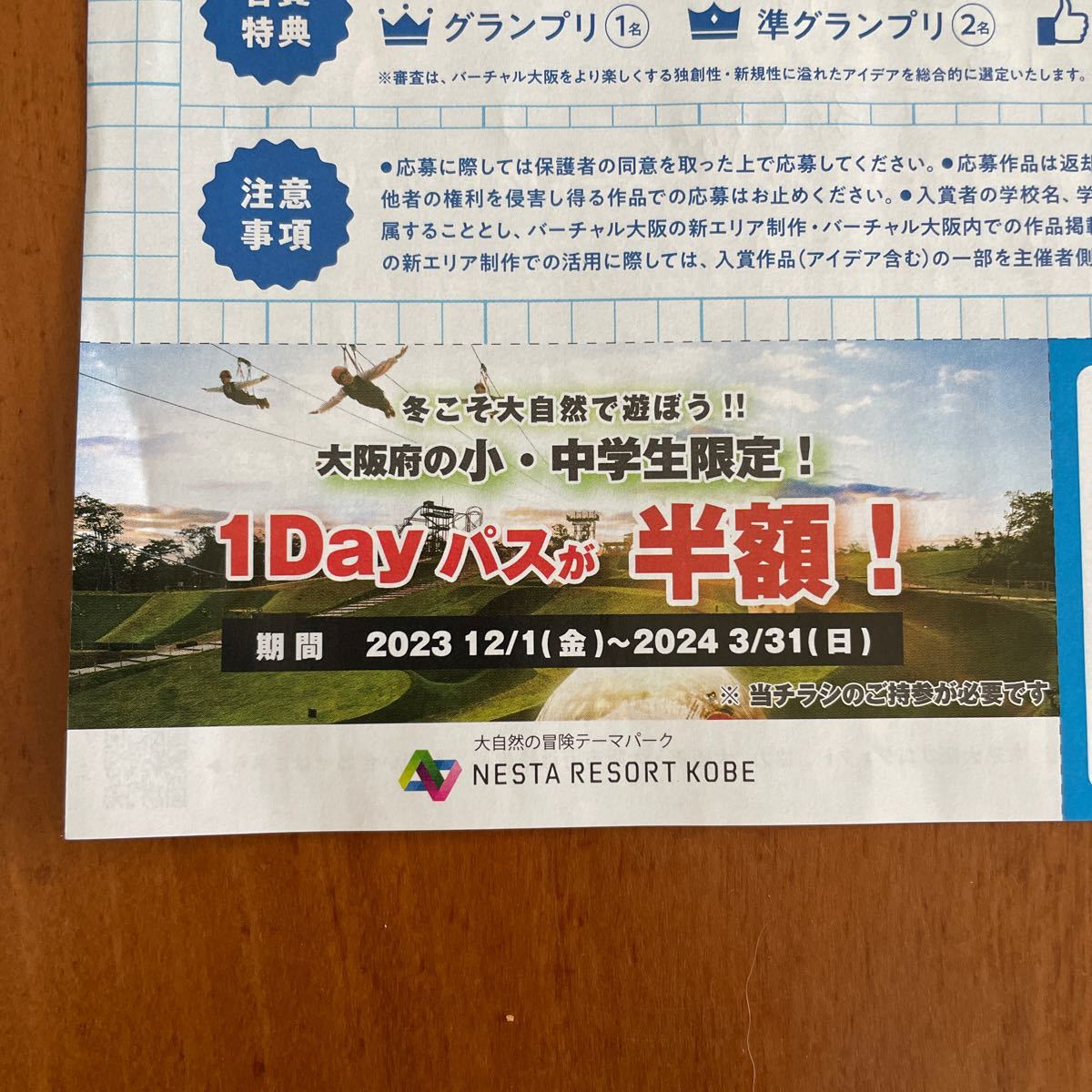 ネスタリゾート神戸　1Dayパス 半額チケット_画像1