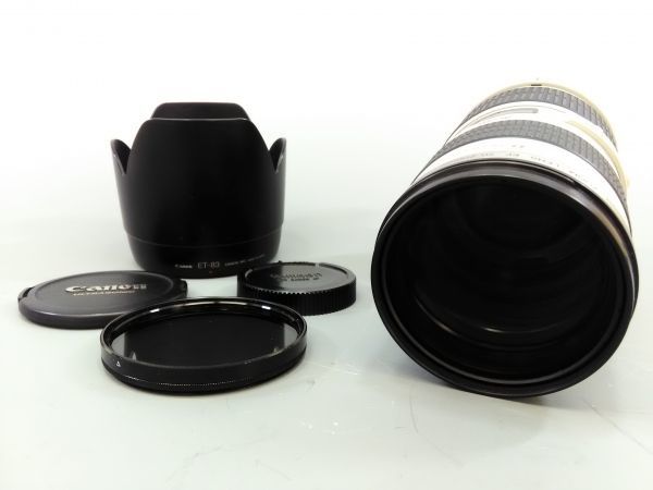R1102-10/KN30000 カメラ レンズ Canon キャノン ULTRASONIC LENS EF 70-200mm 1:2.8 レンズフード ET-83