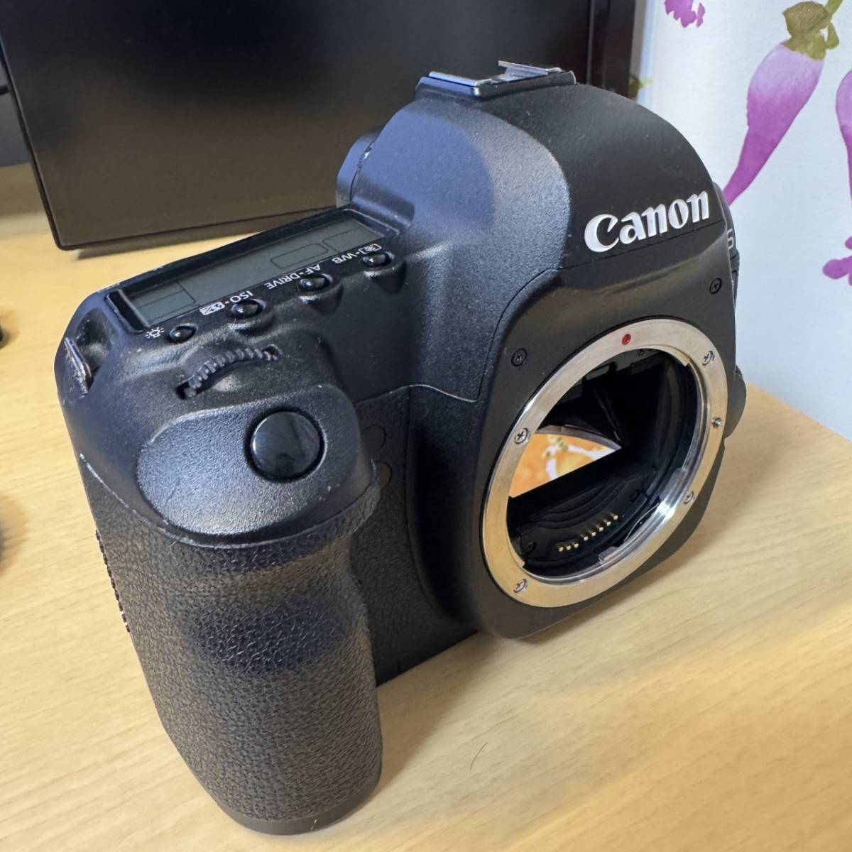 Canon EOS 5D Mark II #Y76_画像3
