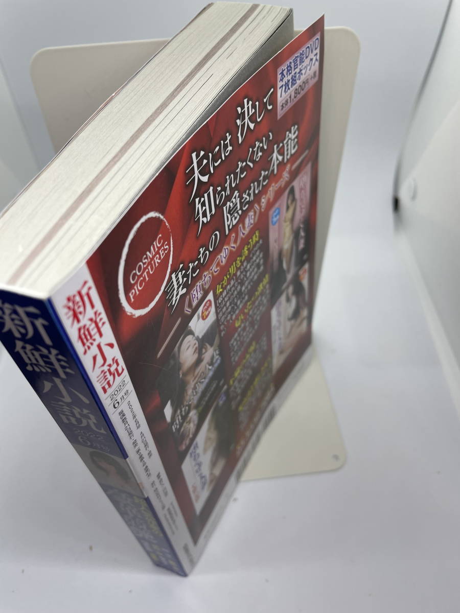 新鮮小説 2022年6月号　柳みゆう　睦月影郎　館淳一　藍川京　末廣圭　北山悦史　庵野音人　北沢拓也　高竜也　渡辺やよい　桜井真琴　他_画像10