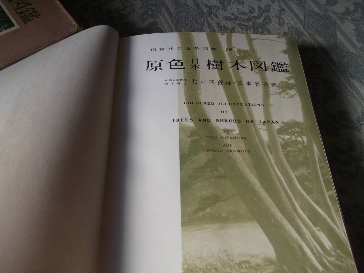 「原色日本樹木図鑑」昭和38年4月1日第10刷　（R025）_画像2