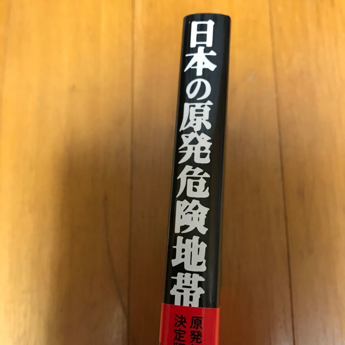 52c 日本の原発危険地帯 鎌田慧／著　初版_画像2