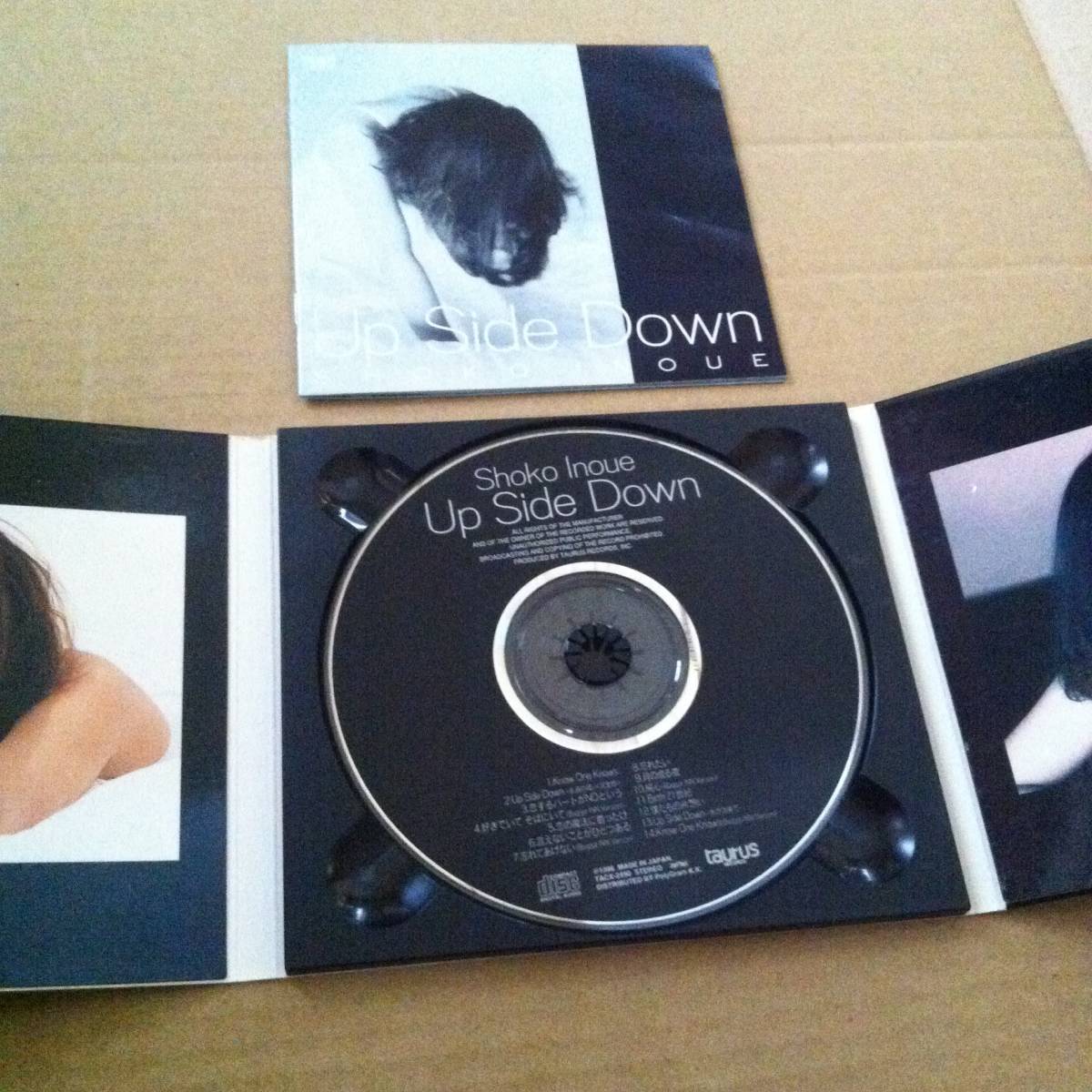 井上昌己  Up Side Down  CD      商品検索用キーワード : 歌 ボーカル VOCAL アルバム ALBUMの画像3