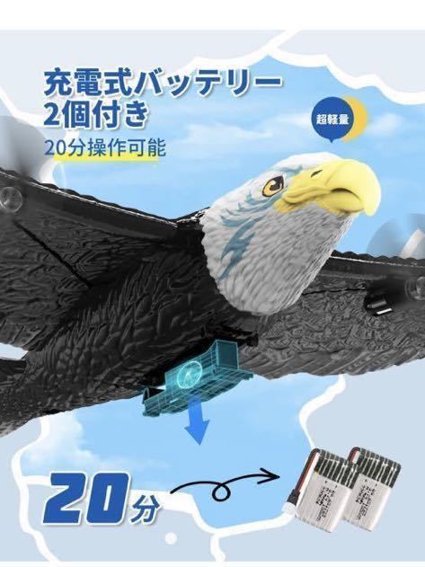  аккумулятор 2 шт радиоконтроллер птица целиком самолет планер RC ребенок начинающий EPP легкий ударопрочный 6 ось Gyro имеется 2.4G игрушка FX651 Eagle простой 