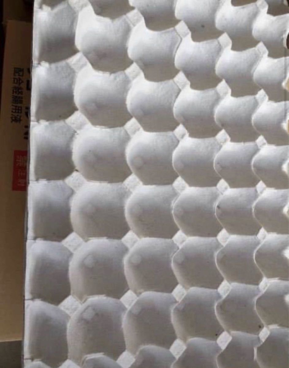 卵パック　卵トレー　10枚セット　コオロギ　ミルワーム　梱包材　防音 追加可能！