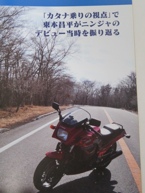 RIDE58　東本昌平　ZX-14R　GPZ900R　XL1200V　CBR600RR　KLX125_画像8