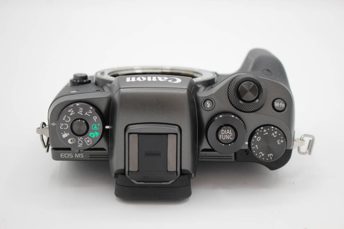 新品級 Canon キャノン EOS M5 ボディ -11|Yahoo!フリマ(旧PayPay